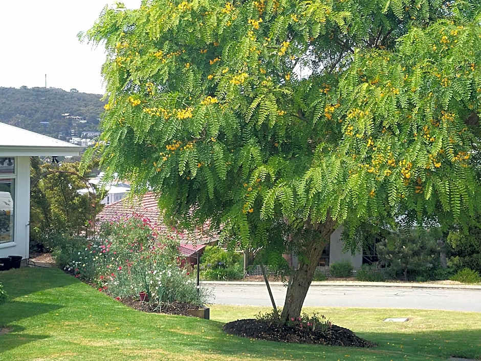 C'est La Vie Bed & Breakfast