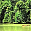 Playa Nicuesa Rainforest Eco Sanctuary