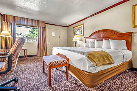 1 King Bed Studio Suite Non-Smoking