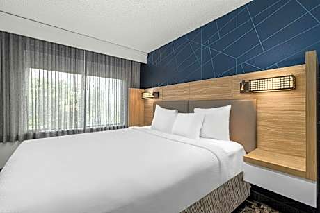 Suite, 1 King, Sofa bed, Whirlpool