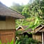Hill Tribe Art House (Lahu & Akha Homestay)