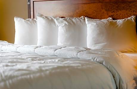 Standard Queen - Disability Access