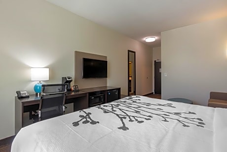 Standard King Room - Non-Smoking