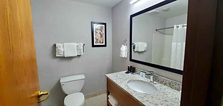 Wingate by Wyndham Lethbridge