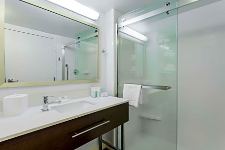 1 Queen Bed 1 Bedroom Suite Nonsmoking