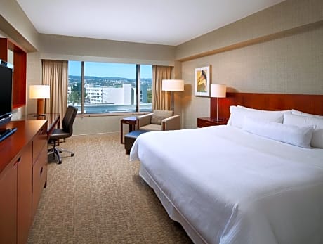 Deluxe Guest room, 1 King