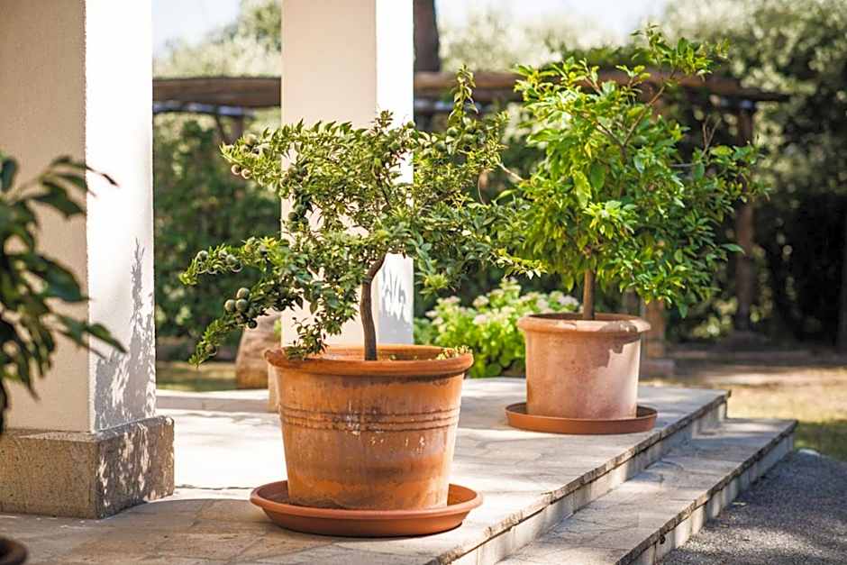 Fattoria Busa dell'Oro