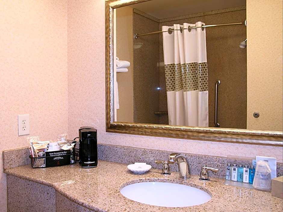 Hampton Inn By Hilton Pittsburgh Area-Beaver Valley-Ctr Township