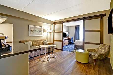 Suite, 1 Bedroom (1 King Bed and 1 Double Sofa Bed)