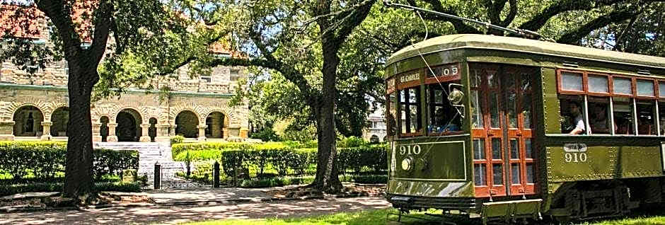 The Prytania Oaks
