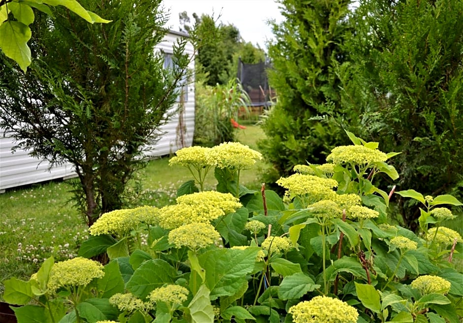 Domki holenderskie ,, Lataj¿cy Holender"