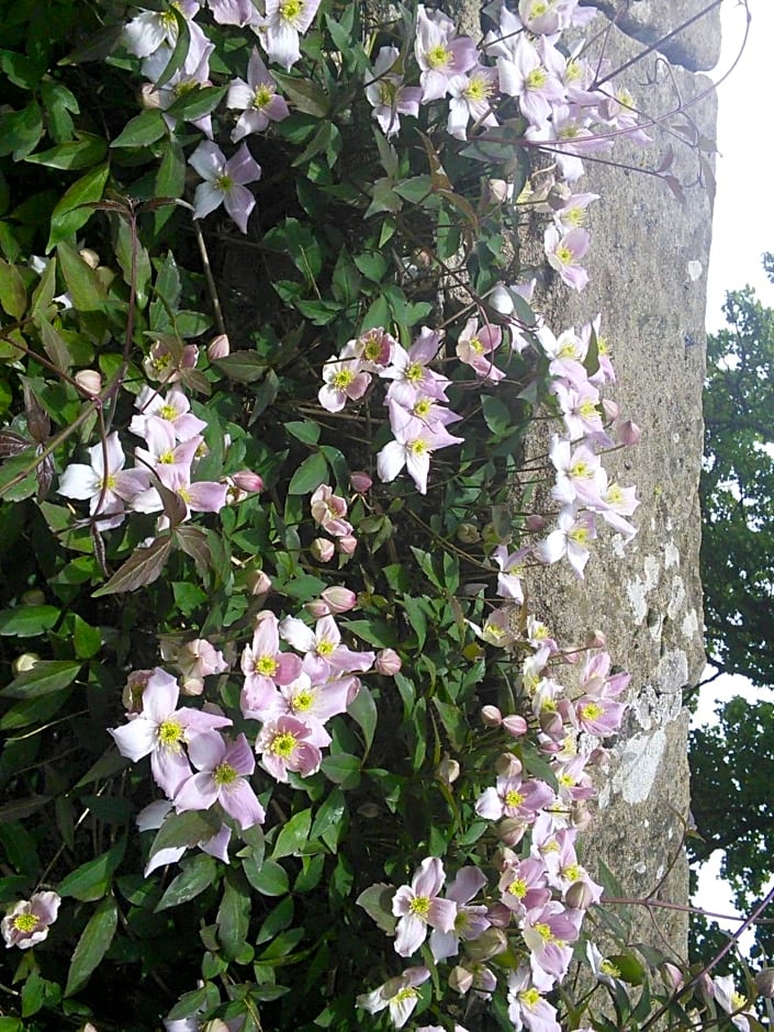 The Barn, Bellingham