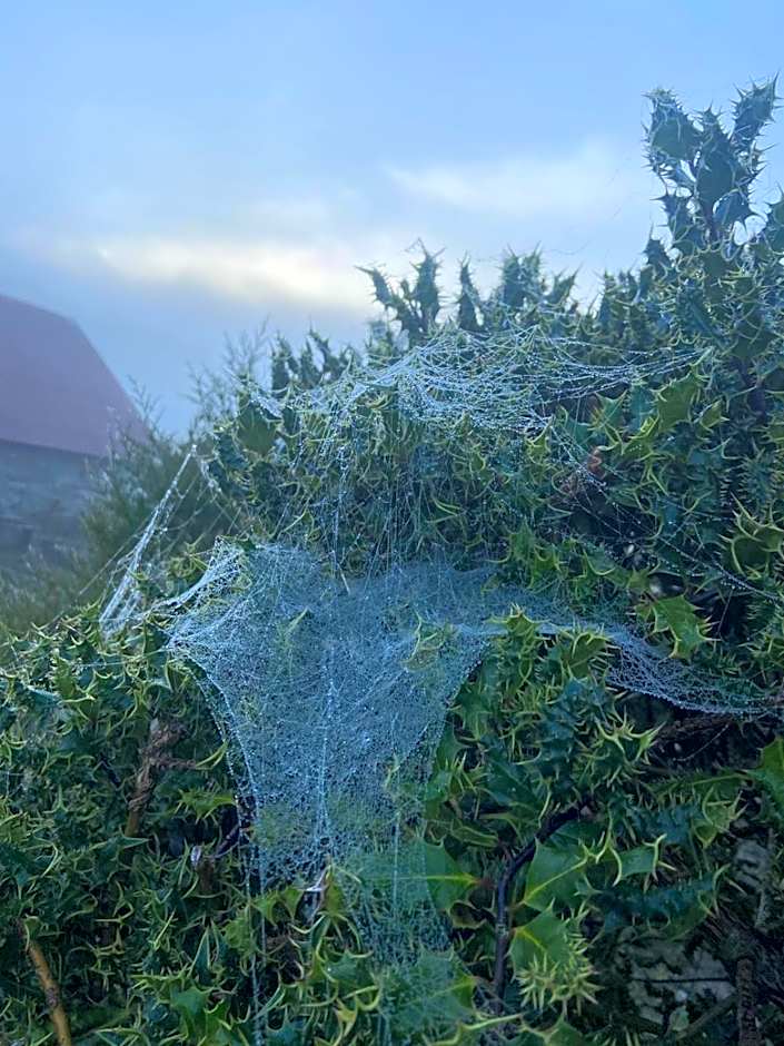 Stoneymollan over Loch Lomond