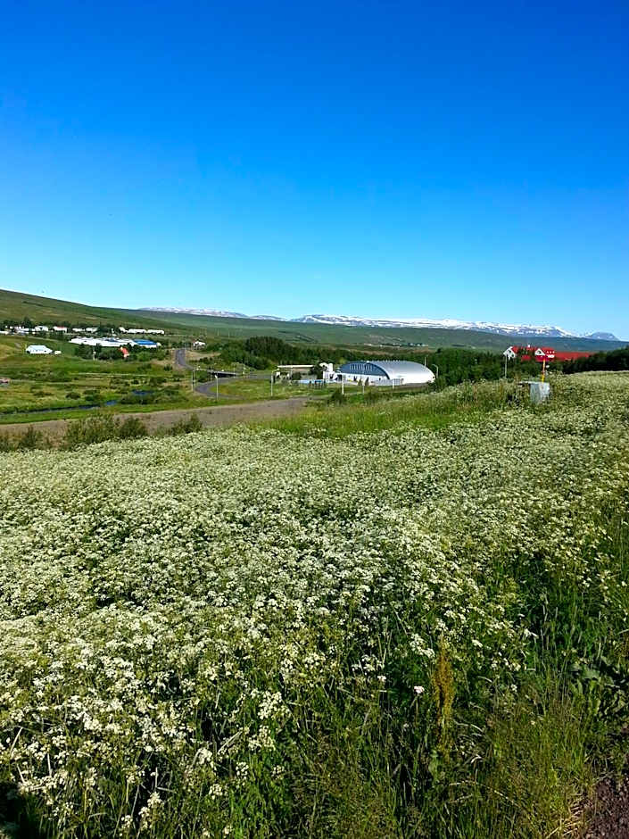 Guesthouse Hvítafell