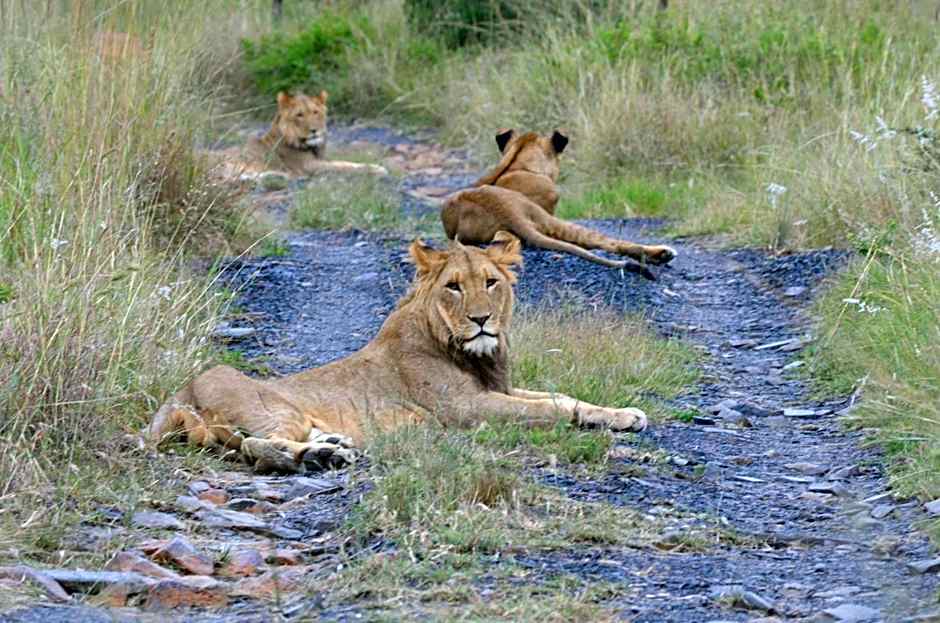 Umzolozolo Private Safari Lodge & Spa
