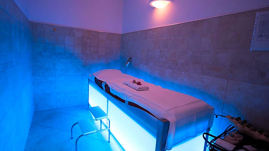 Hotel *** & Spa Vacances Bleues Villa Marlioz