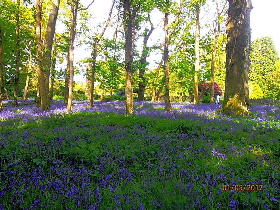 Larkfield House B&B, Ballycasheen Kerry V93 WD51