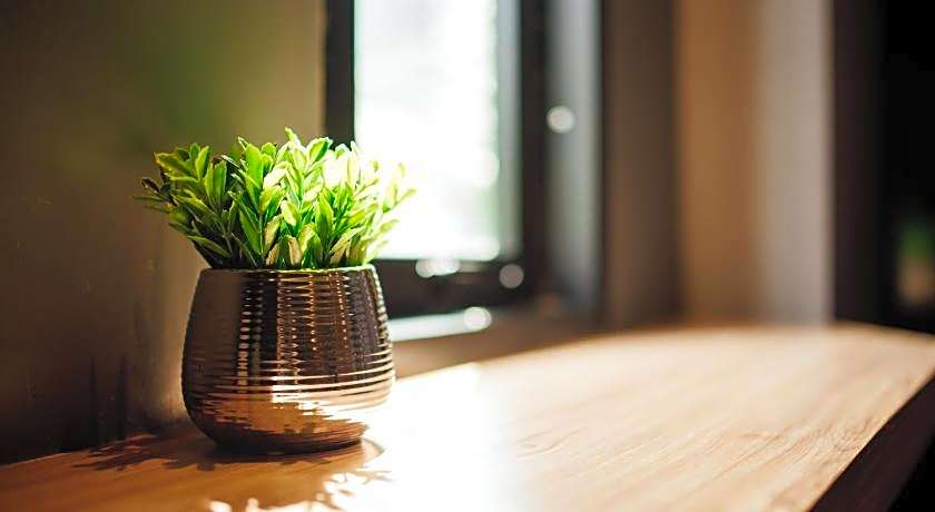 Le Terrarium Bed & Sleep Chiang Rai