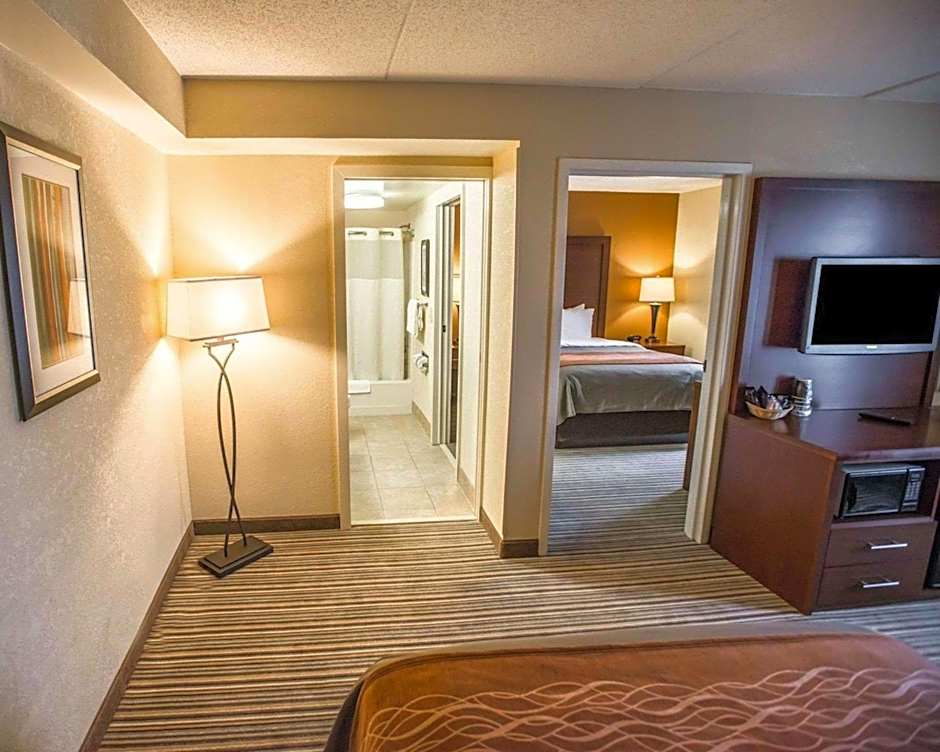 Comfort Inn At The Park