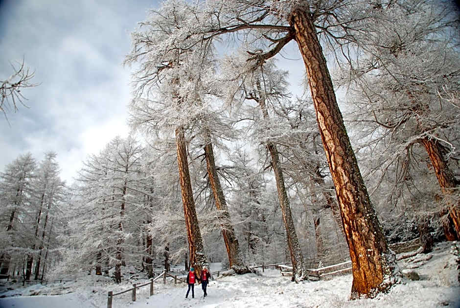 Hotel Garni Jägerhof