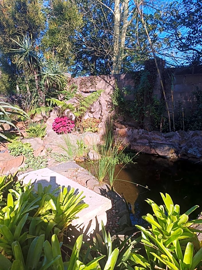 Leopards and Louries Bush Lodge