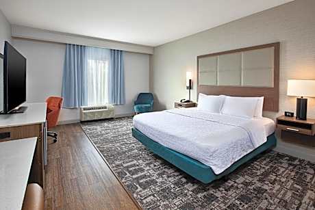 1 KING HEARING ACCESSIBLE W/SOFABED NOSMOK