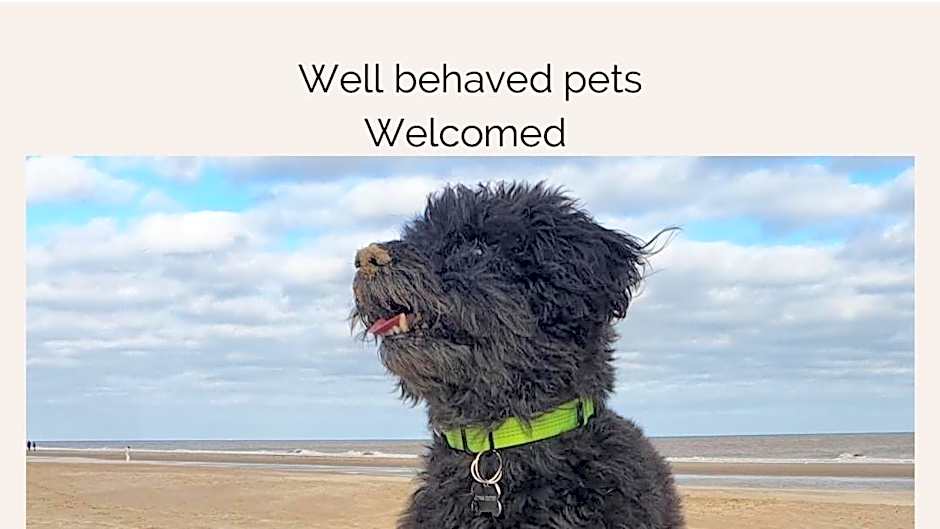 Herons Mead Touring Park and Fishing Lakes - Plot 18