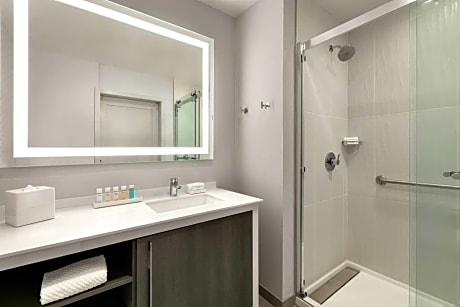 Suite City View King Bed