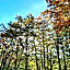 Inn Komachiya - Vacation STAY 90956v