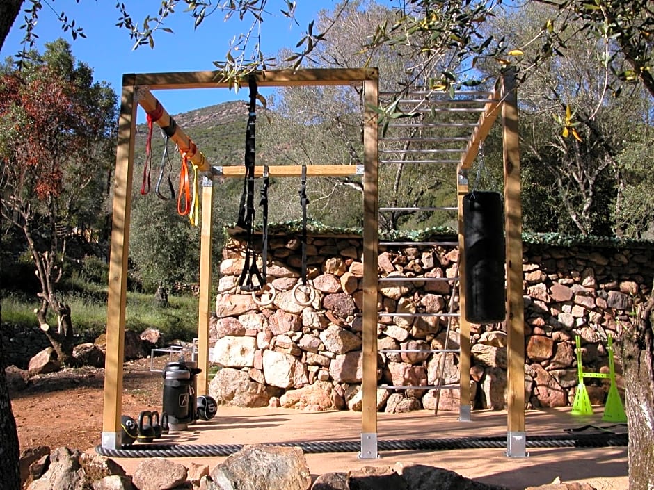 L'oliveraie du Fango