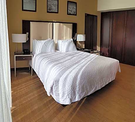 1 Qn Mobility Access Roll In Shower Nosmok Microwv/fridge/hdtv/work Area Free Wi-fi/hot Breakfast In