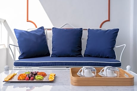 DOUBLE SINGLE USE STANDARD