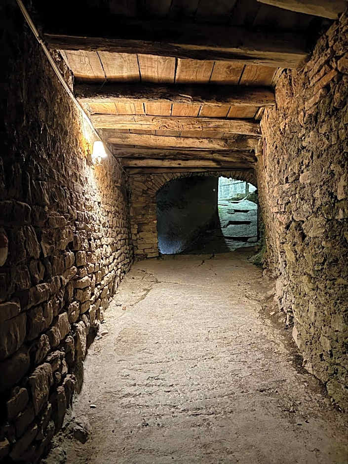 Viandanti, Artisti e Sognatori