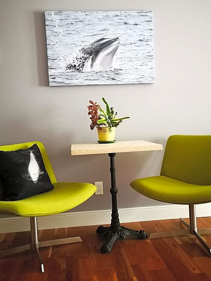 Au Cachalot Caché le gîte hôtel