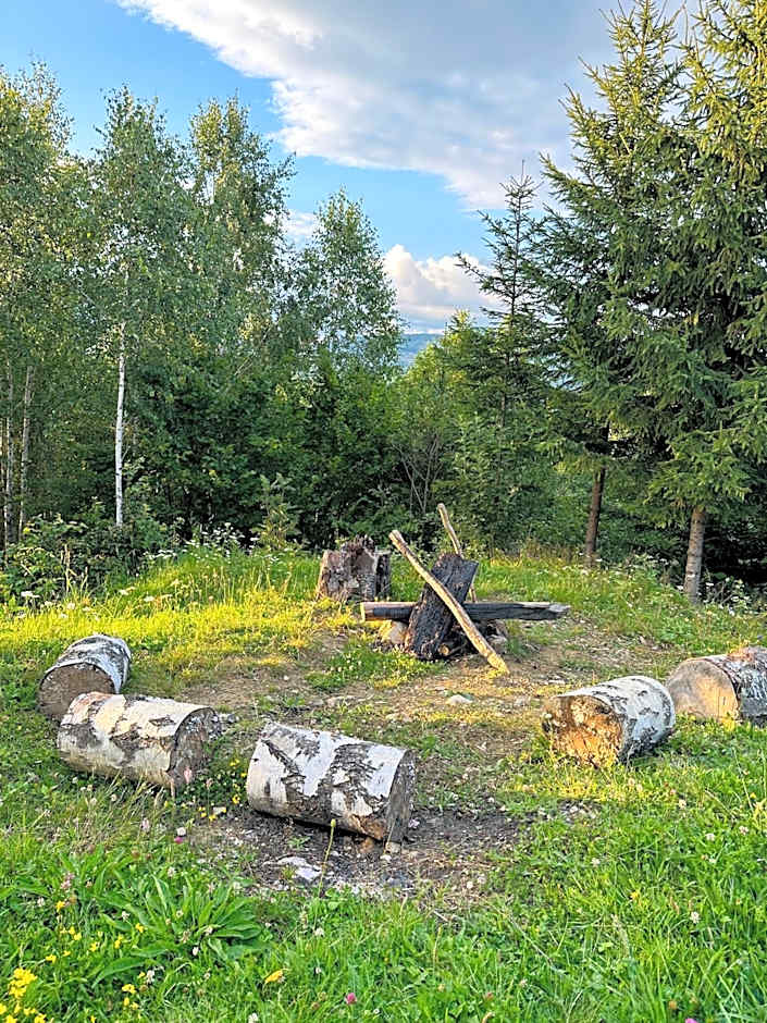 Cabana doi mesteceni