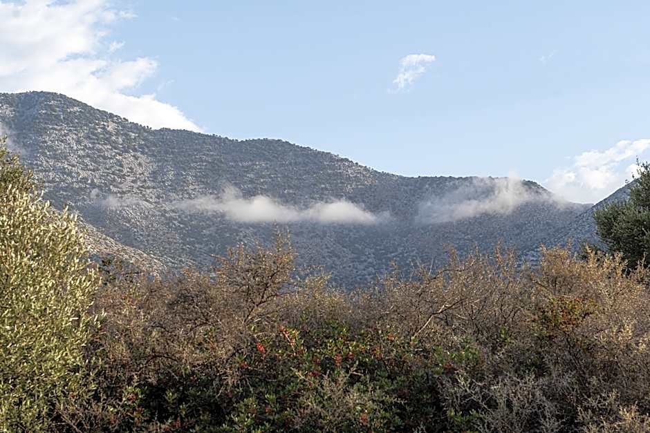 Elpis Studios & Apartments