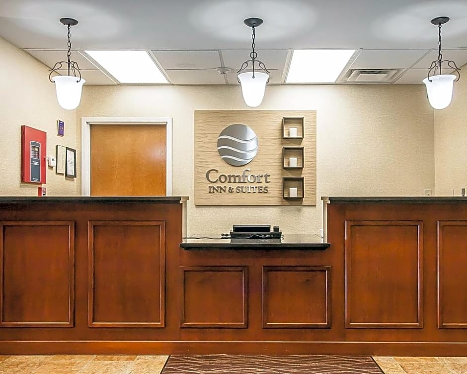Comfort Inn & Suites Atoka - Millington