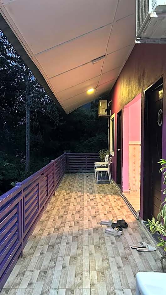 Taman Negara River View Lodge