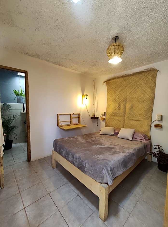 Hostel Boutique 55