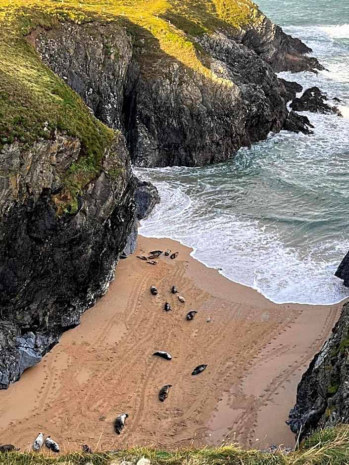 St Kew Escapes Nr Port Isaac