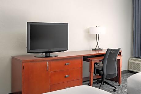 Suite, 1 King, Sofa bed