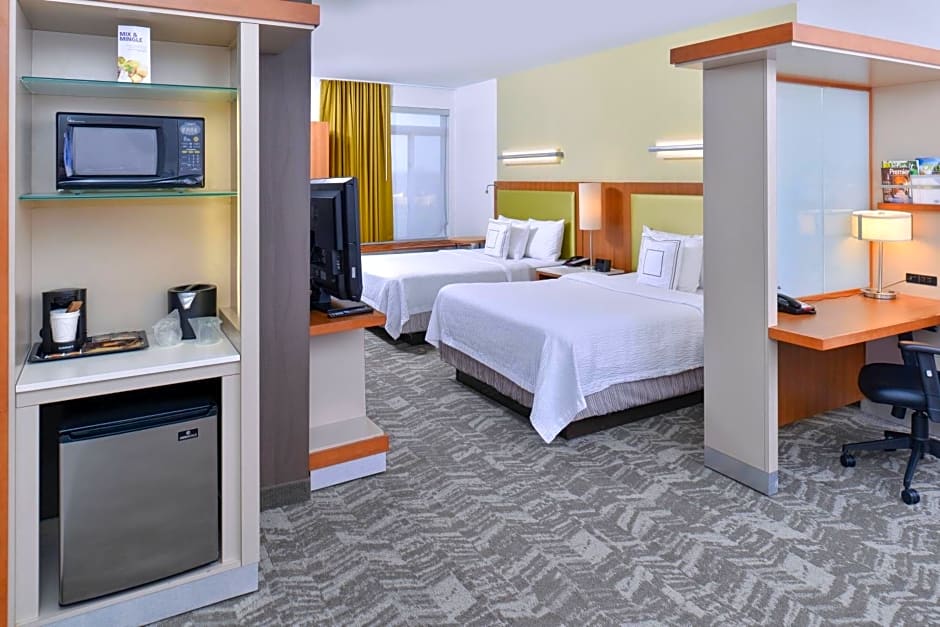 SpringHill Suites by Marriott Detroit Metro Airport Romulus