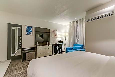 King Studio with Sofa Bed