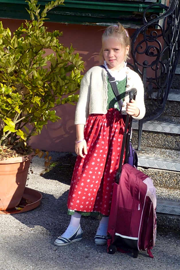 Hotel - Restaurant Gosauerhof