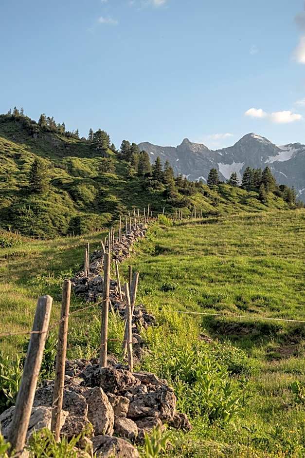 Hotel Hubertus - Au Bregenzerwald