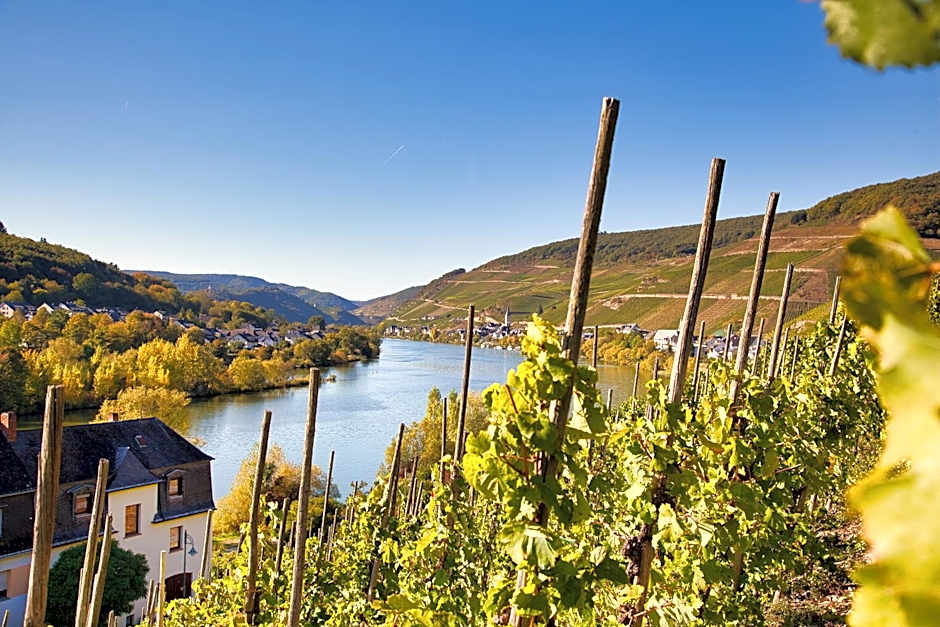 Mayer's Weinhotel