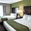 Comfort Suites West Indianapolis - Brownsburg