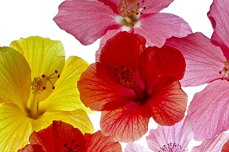 Yonabaru Hotel SUNRIZE OCEAN