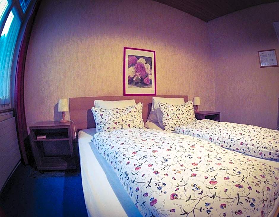 Alpina Hotel