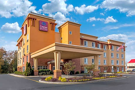 Comfort Suites Seaford